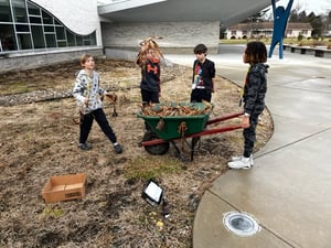 Removing invasive species at the new location of the habitat restoration